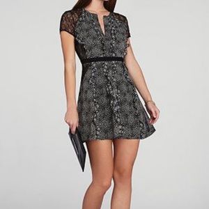Bcbgmaxazria black and white dress